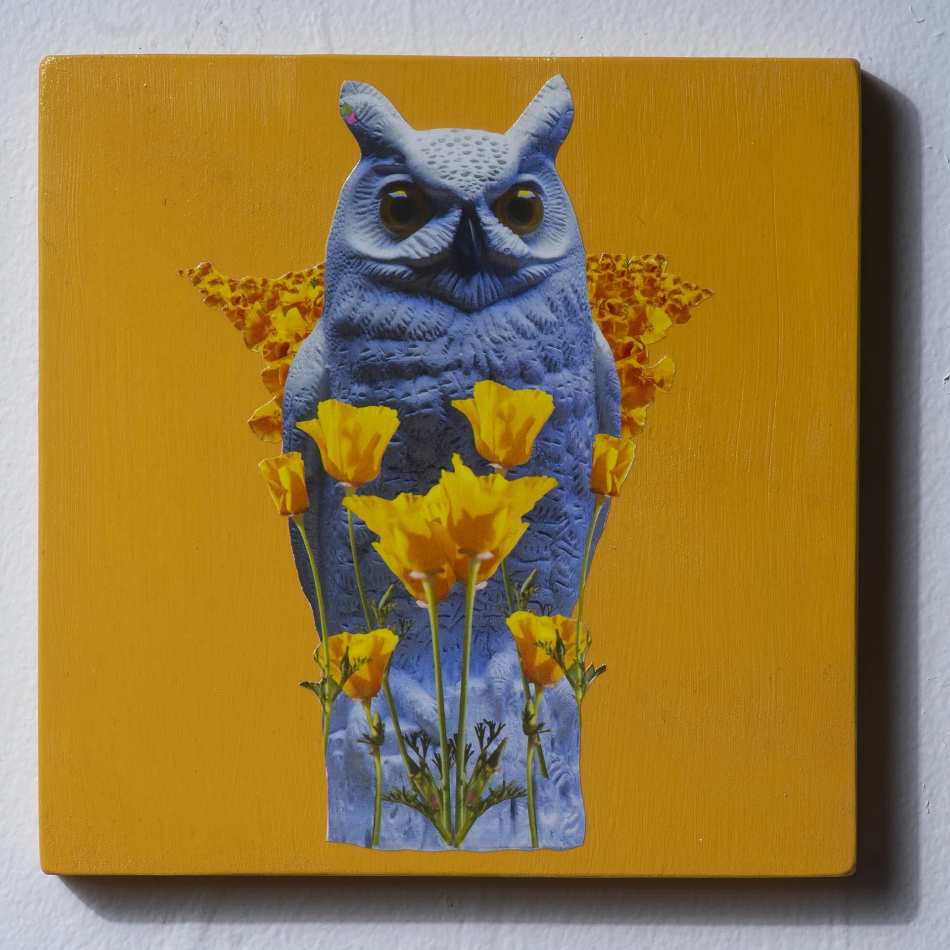 DoomLoops_8x8_PoppyOwl_BJB_DSC0203.jpg