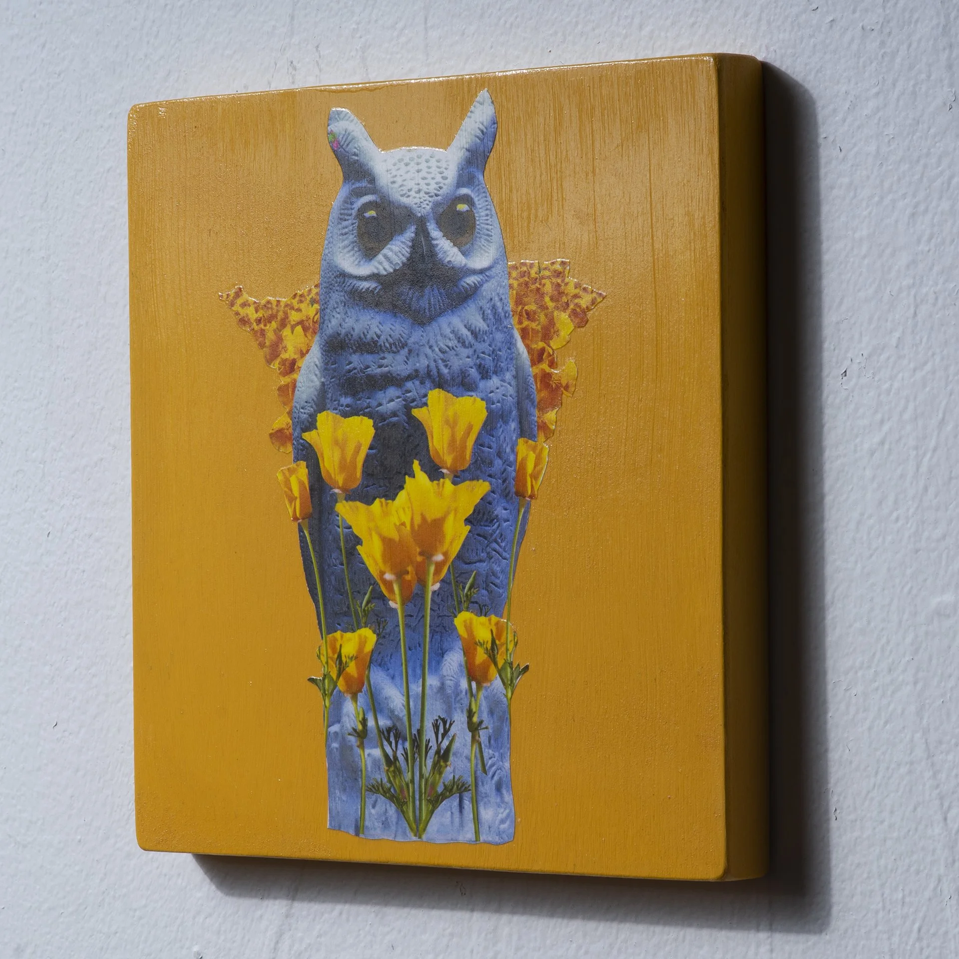 DoomLoops_8x8_PoppyOwl_BJB_DSC0224.jpg