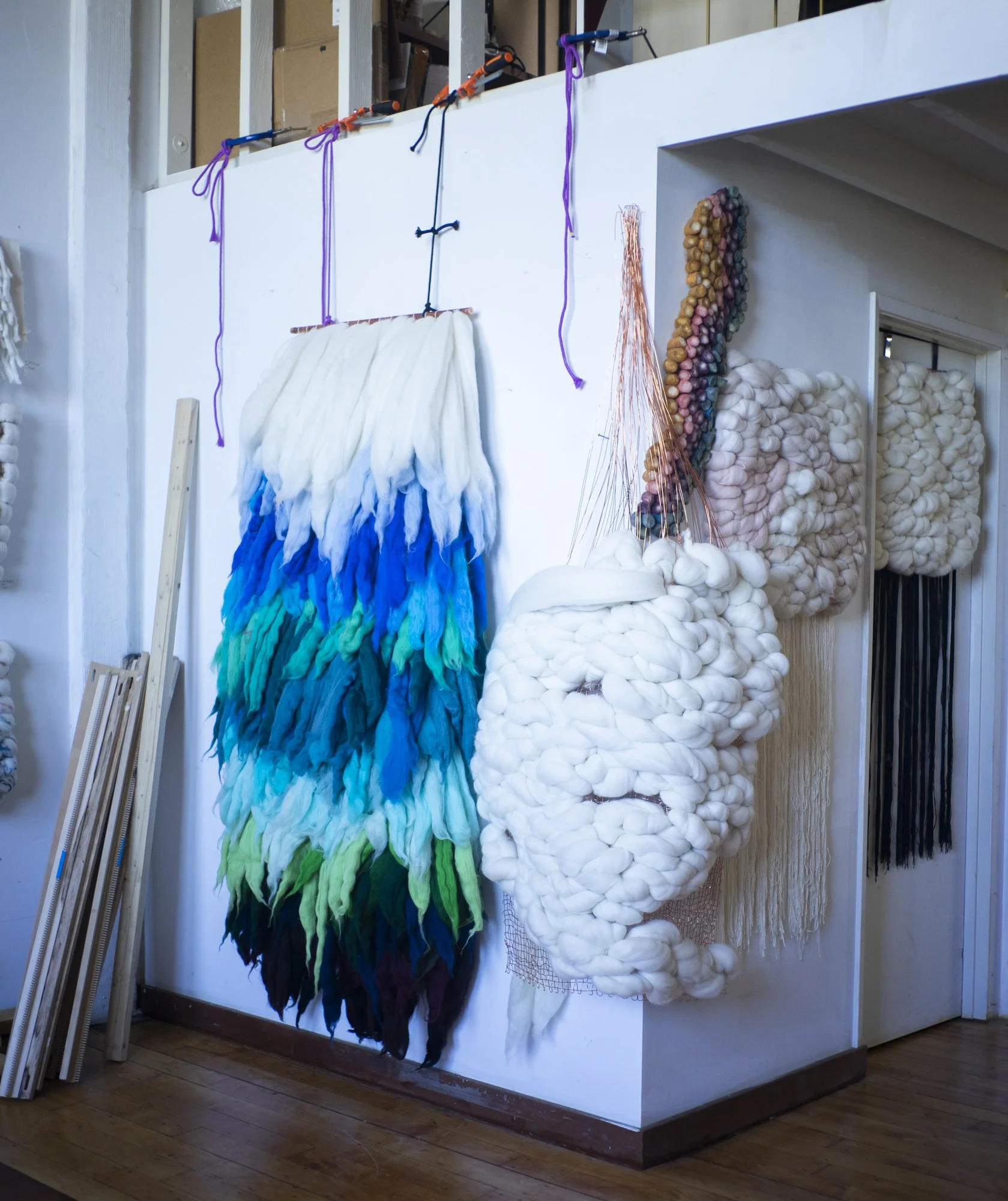 Meghan_Shimek_StudioVisit__BJB_DSC0010.jpg