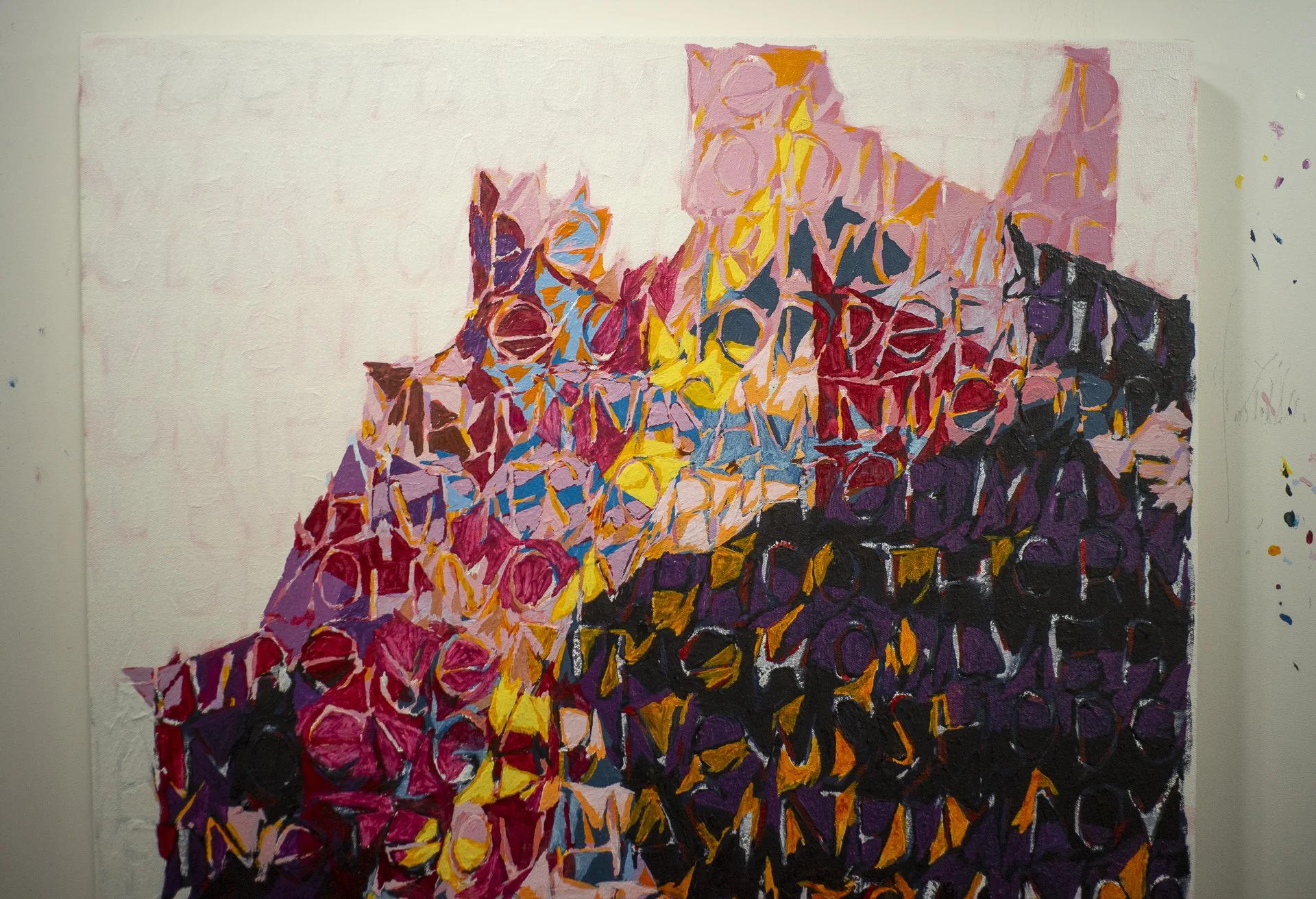 MothBellyGallery_StudioVisitInterview_Joshua_Rampage_BJB_DSC1067.jpg
