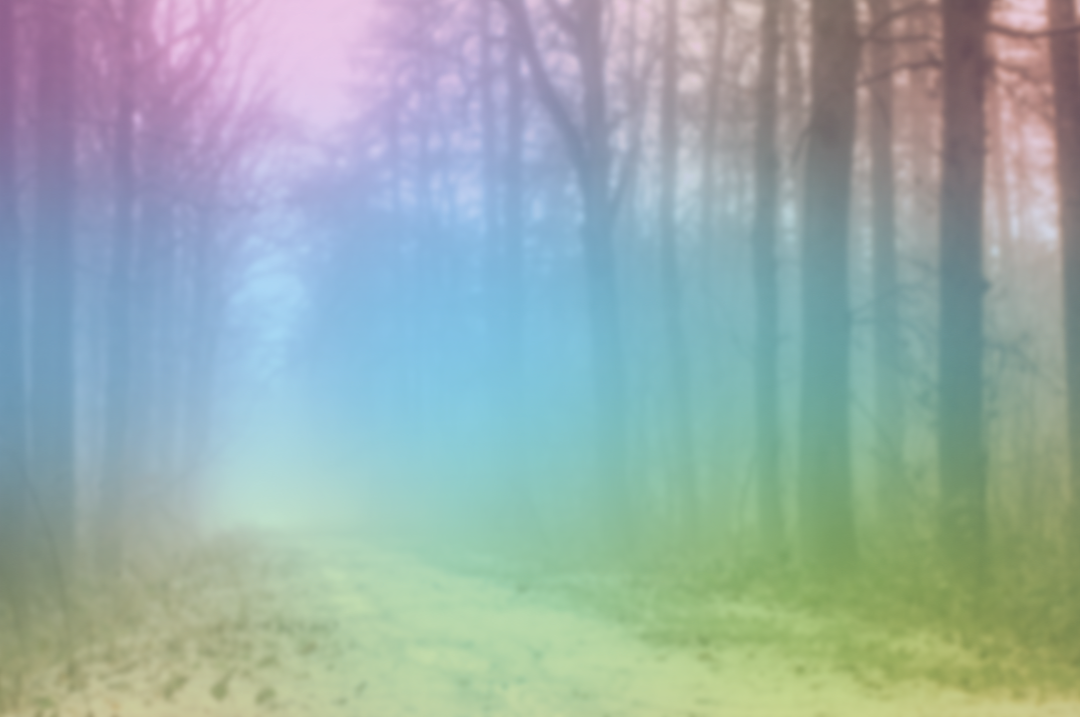 MelindaWebsiteHeader2.png