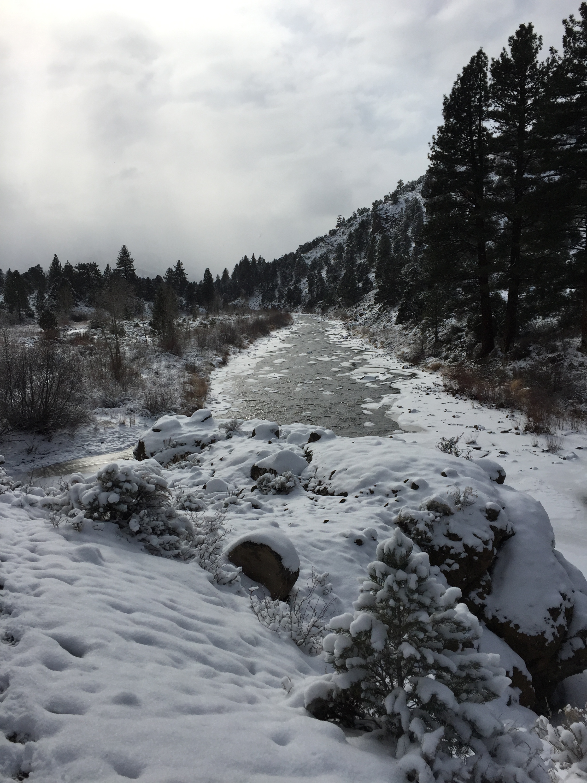 The Carson River