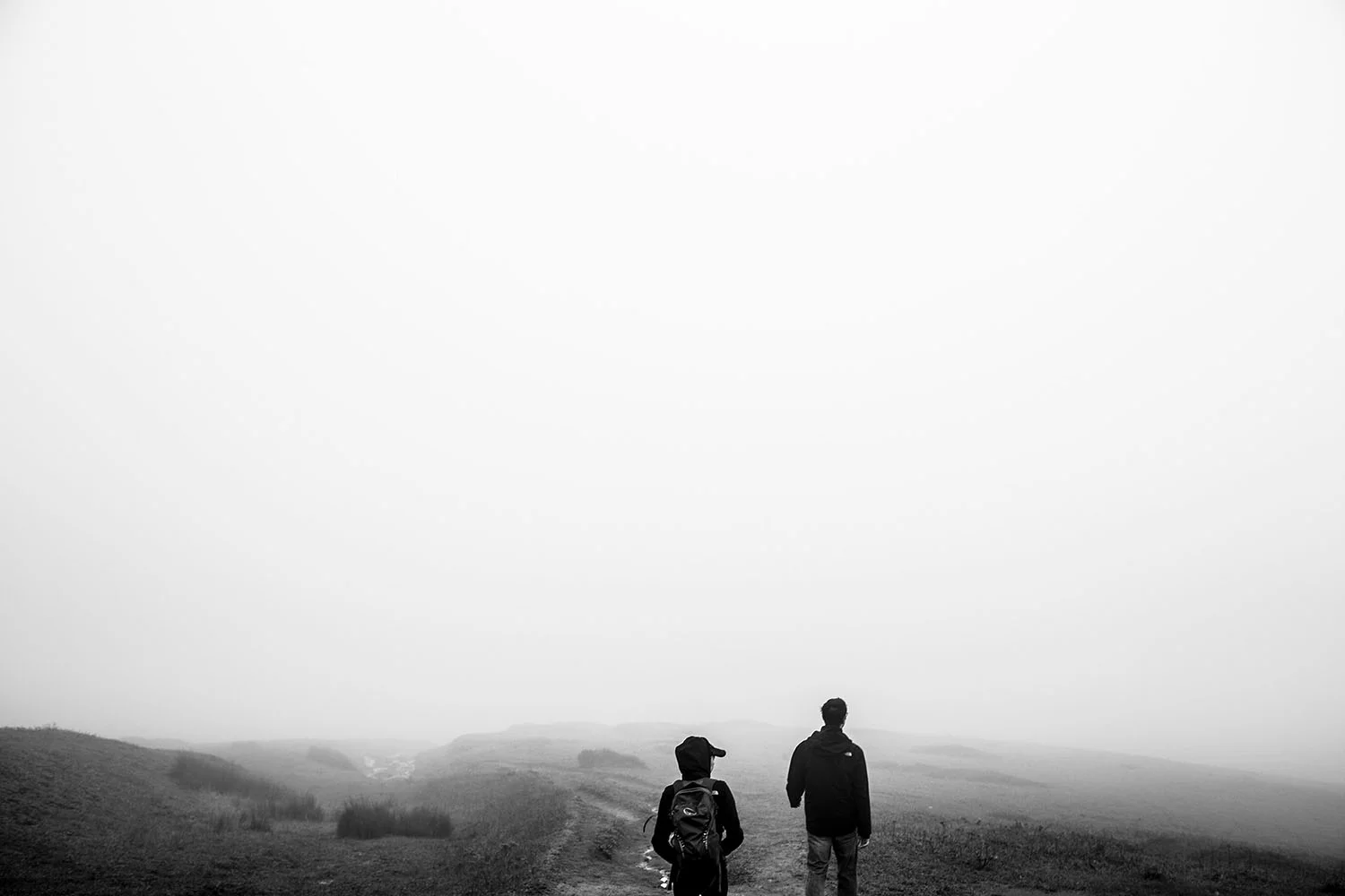 foggy hike in point reyes california photo by ryan kuratomi