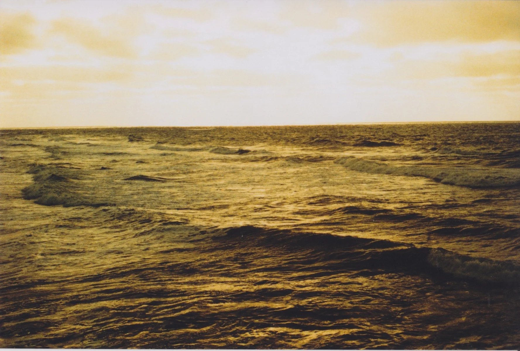  35mm film photography by Ryan Kuratomi  expired film of the Pacific Ocean in Santa Cruz, California 