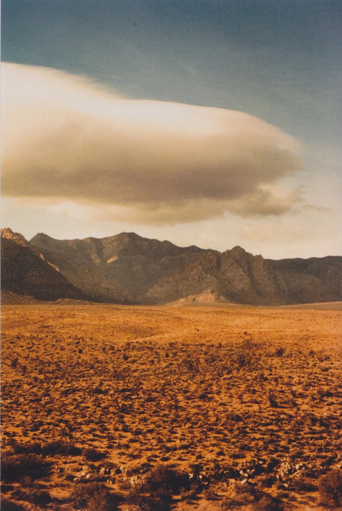 red rock nevada ryan kuratomi.jpeg