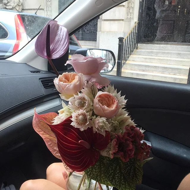 Another day another arrangement on Sami's lap