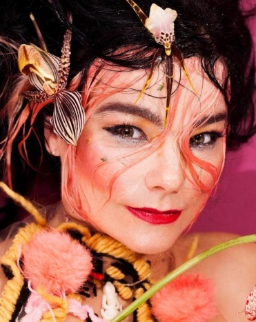 Björk x Maisie Cousins