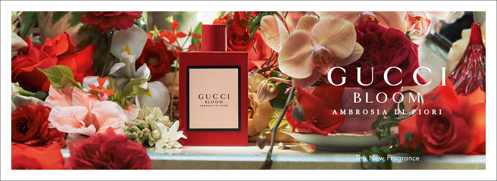  Gucci Bloom Ambrosia Di Fiori Campaign shot by Ari Marcopoulos 