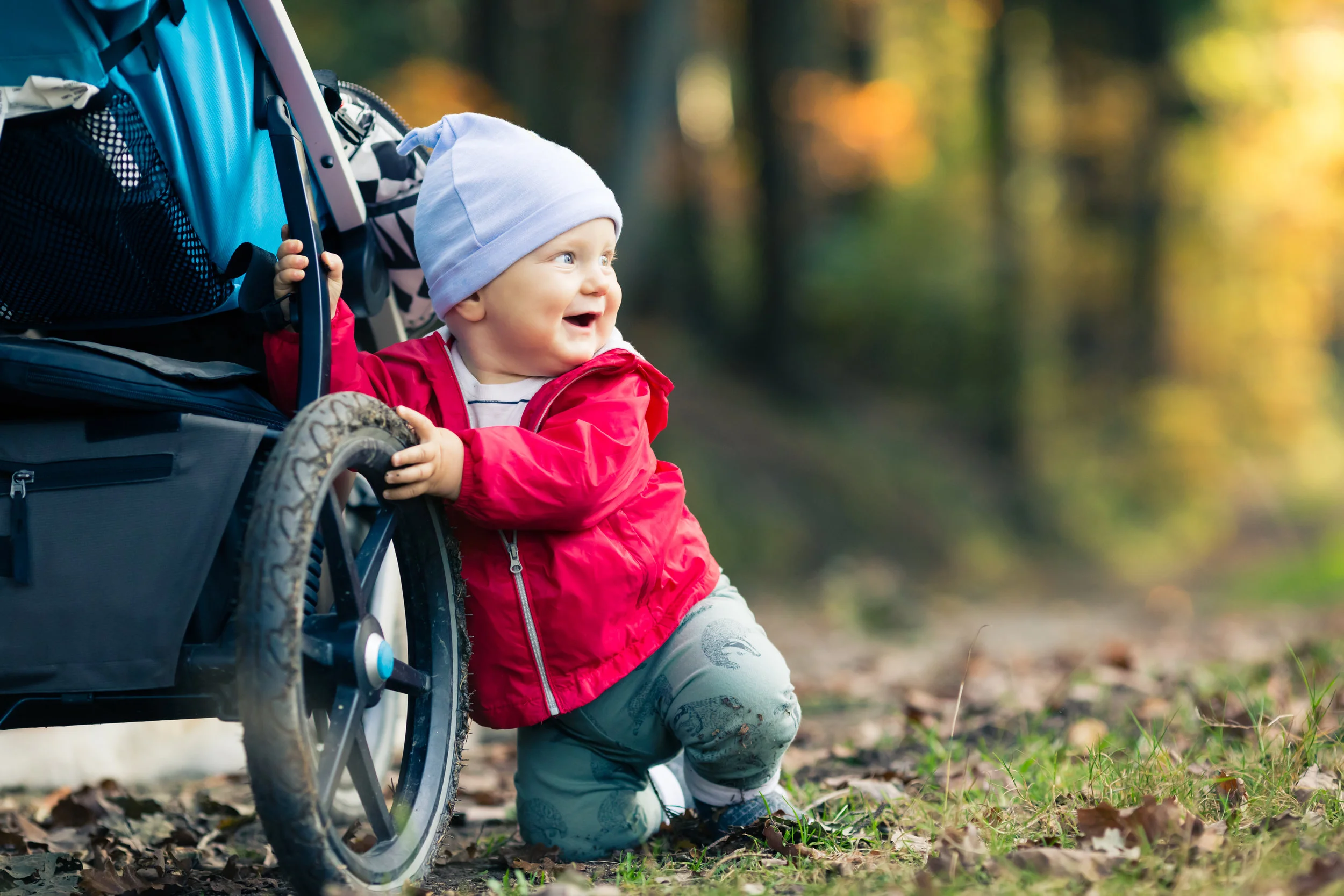 baby-boy-playing-in-autumn-forest-with-stroller-PDXLJWX.jpg