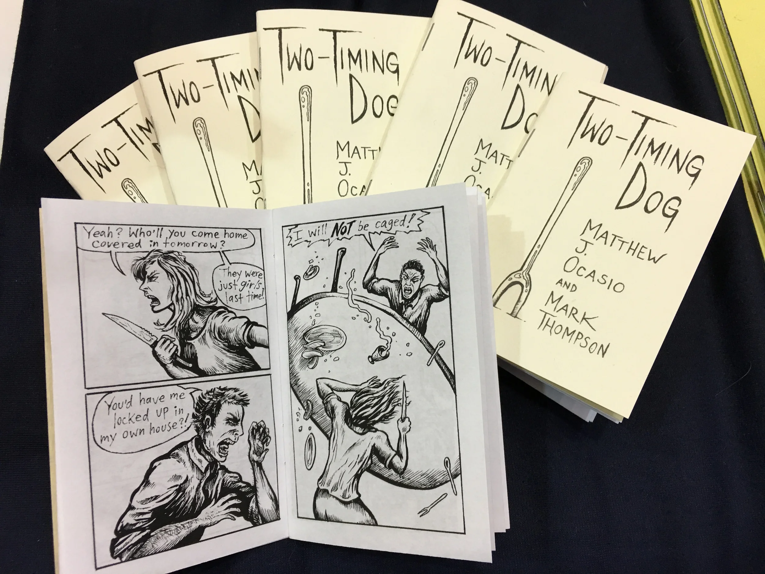 Transylvania Bible no. 3