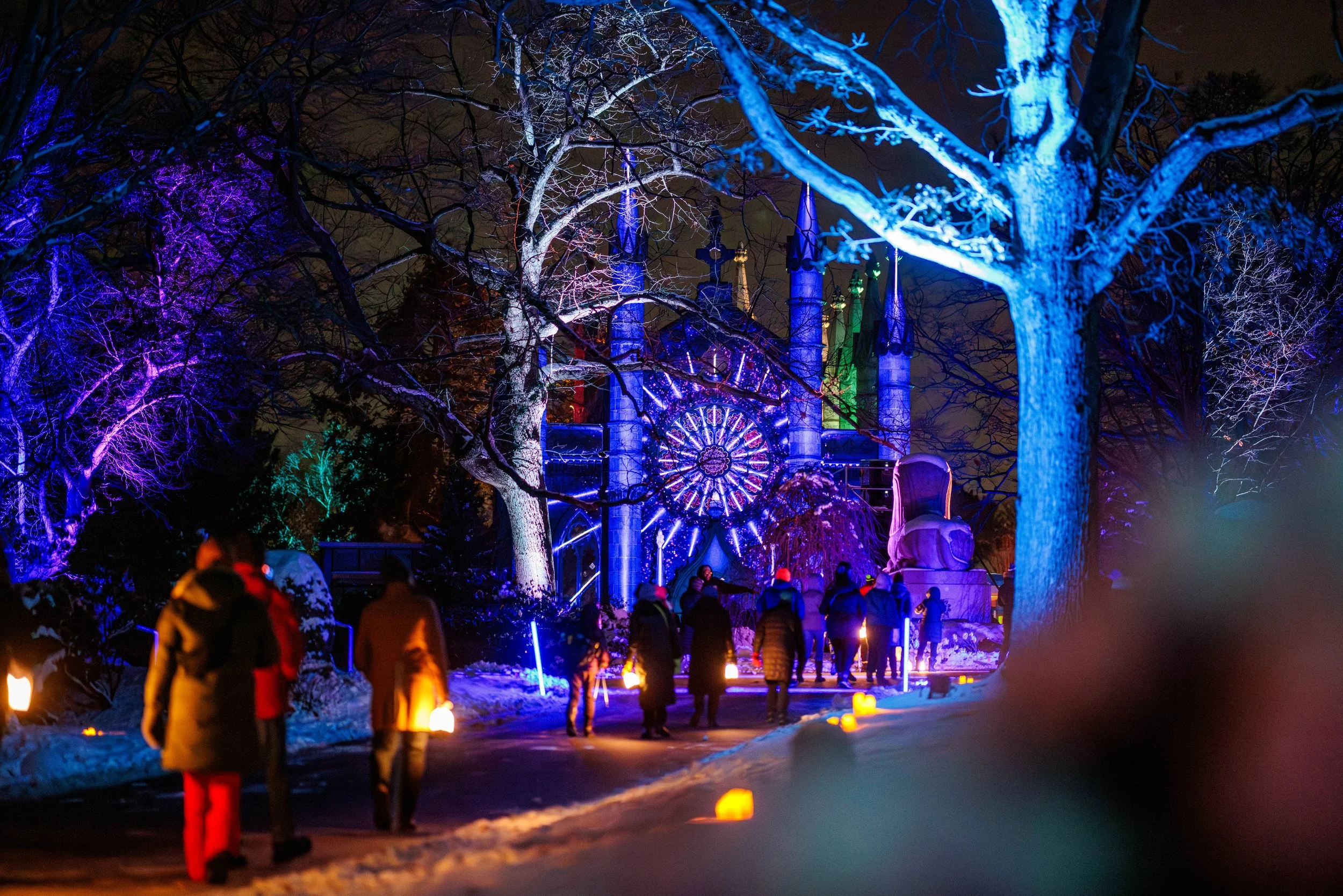 Reflections on Light, Sound, and Five Winters at Mount Auburn Cemetery