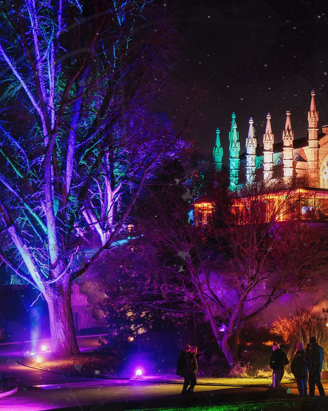 As the season leans into winter, we&rsquo;re feeling that unmistakable shift in the midst of preparing for the opening of 𝗦𝗢𝗟𝗦𝗧𝗜𝗖𝗘 this Friday, Dec 5th.

Since 2020, MASARY has crafted solstice artworks with Mount Auburn Cemetery, each piece 