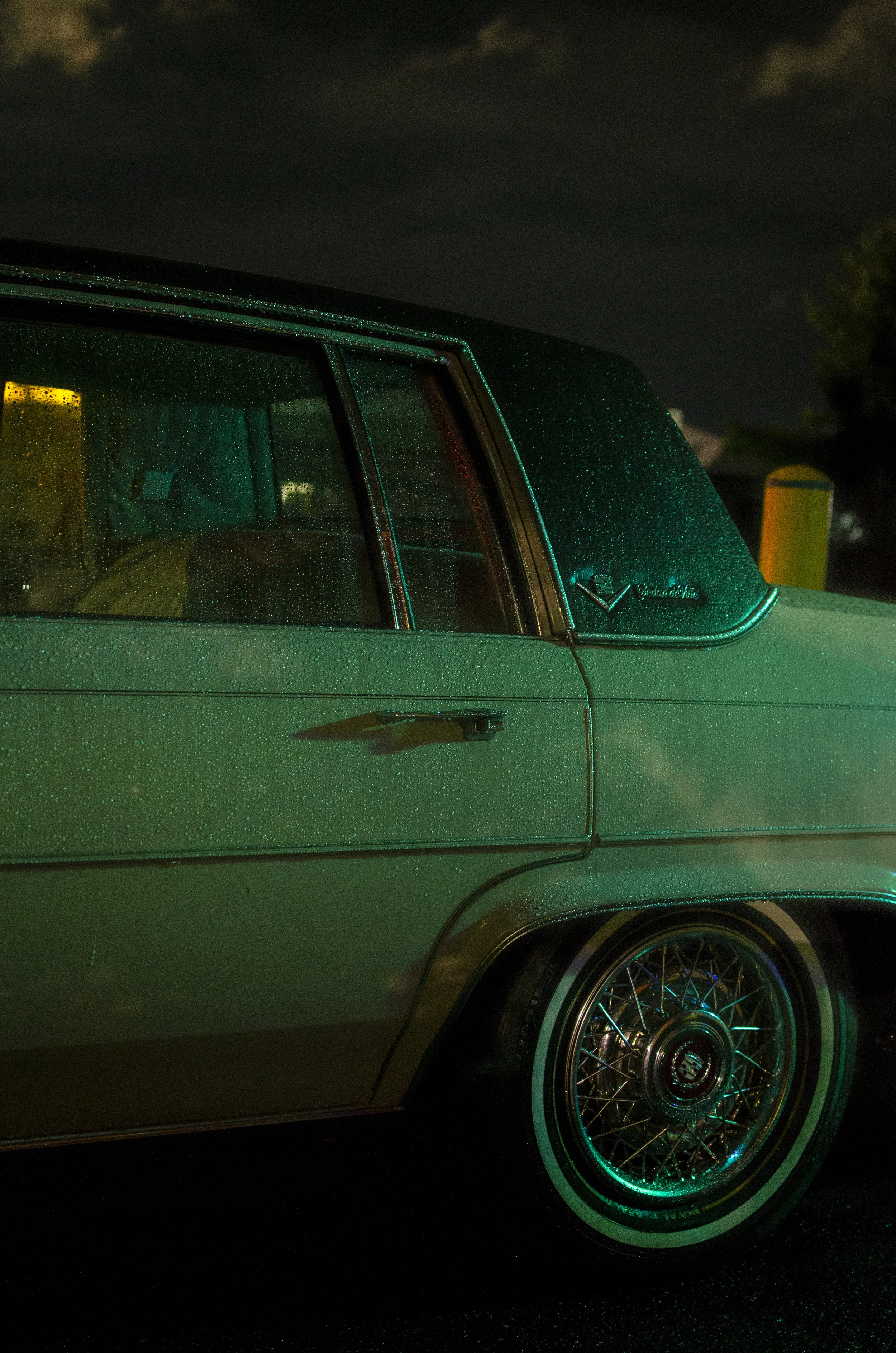 whips-3.JPG