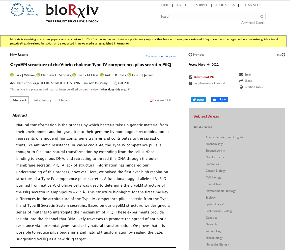 PilQ_bioRxiv