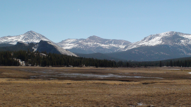 Tuolumne Meadows