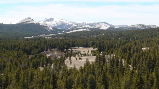 Tuolumne Meadows from Puppy Dome