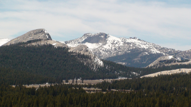 Tuolumne Peak and Meadows