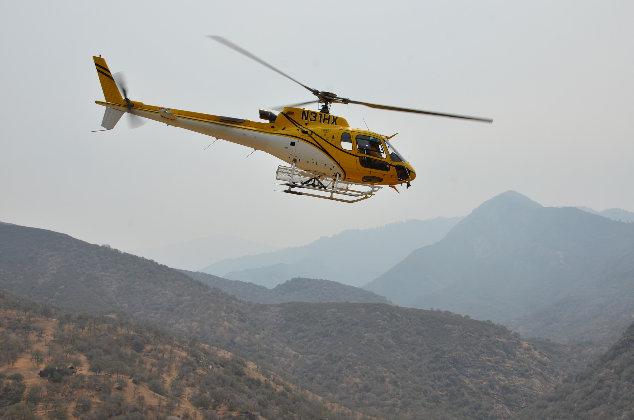 Normally used to fight wildland fires, this helicopter instead spent the day rescuing an endangered species. Photo by Jessie Bushell/San Francisco Zoo.