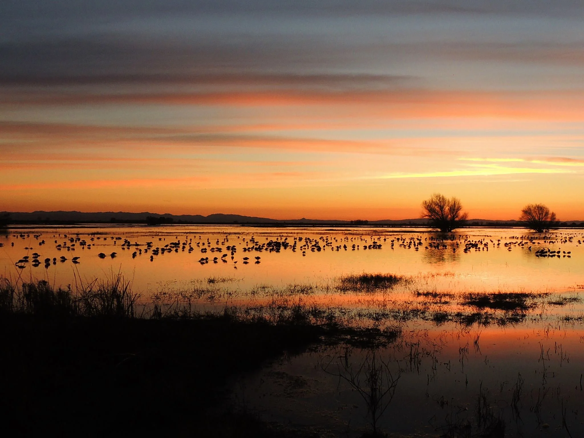 Sunset over the Merced National Wildlife Refuge in California's Central Valley (photo by Cindy Jacobo)
