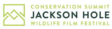 Jackson Hole Film Festival: Wild Cat Summit
