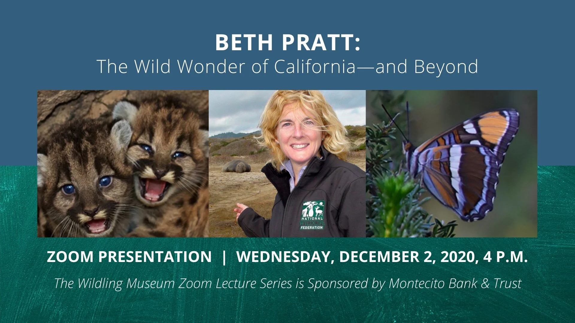 The Wild Wonder of California—and Beyond
