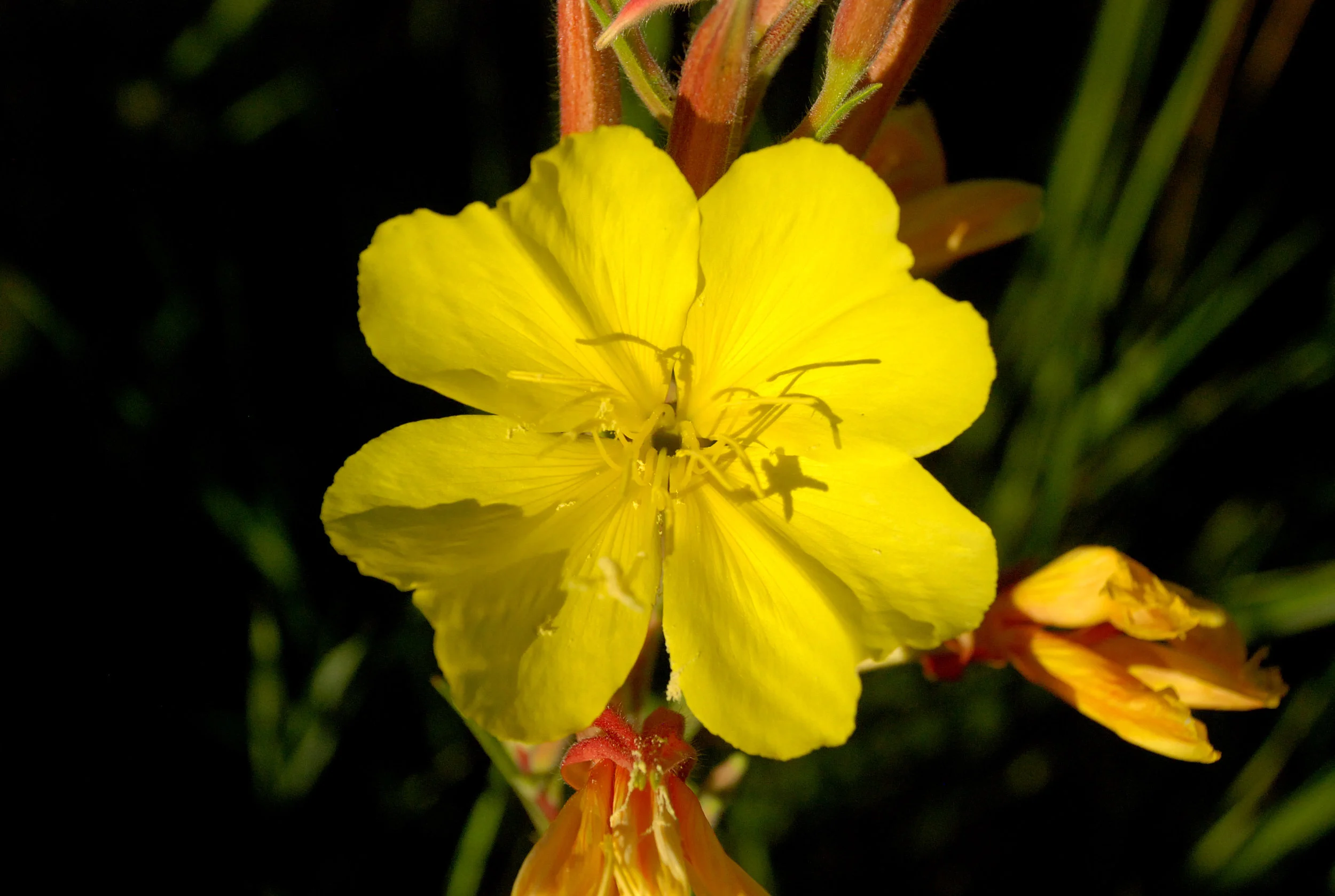 Tips For Inner Calm as Drama Unfolds 