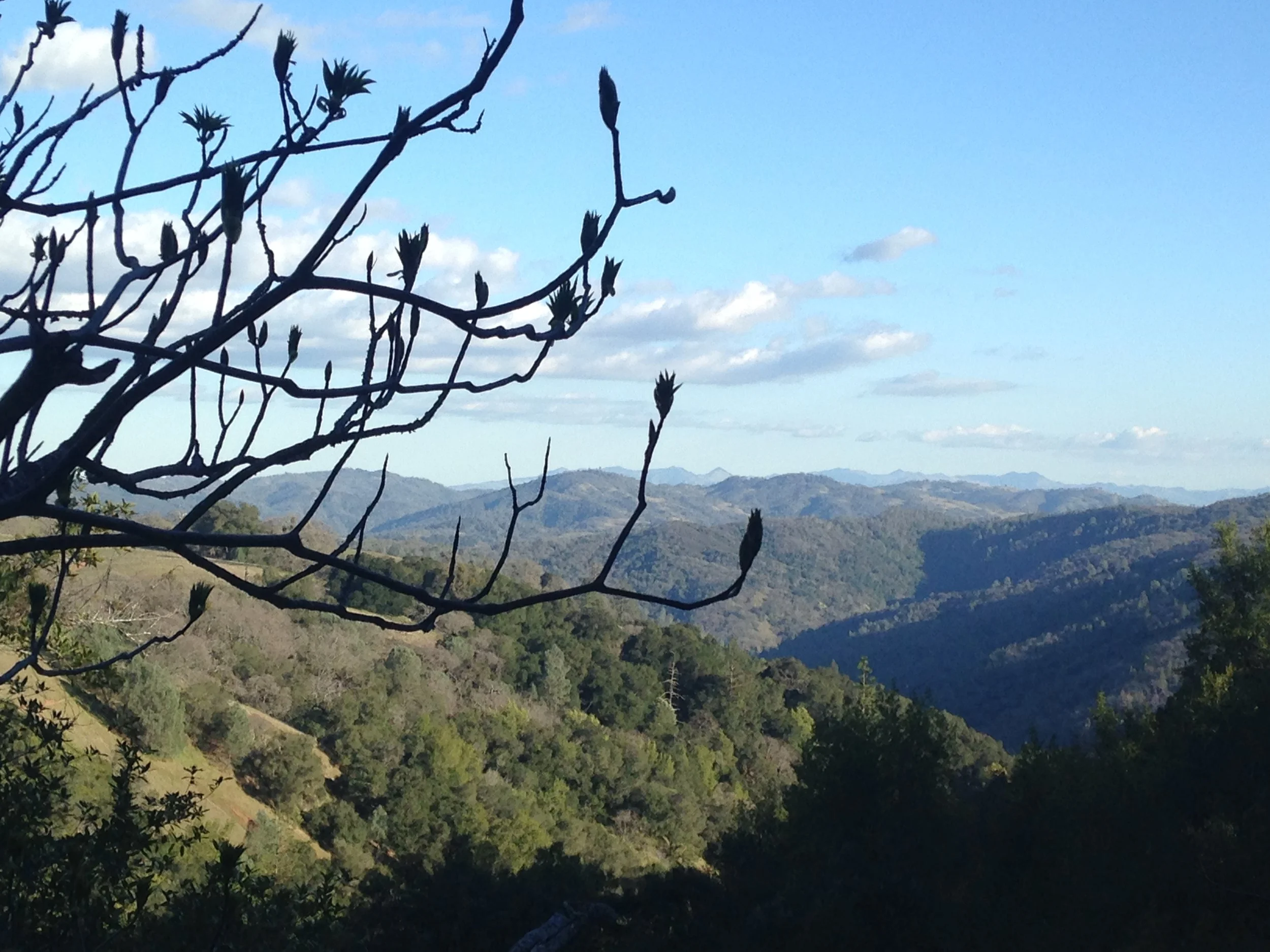 Drum Journey and Mindfulness Walk