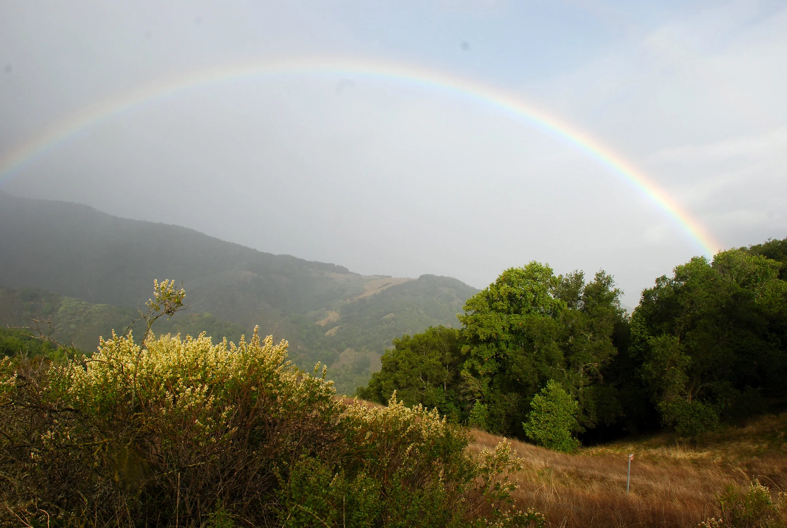 Drum Journey and Mindfulness Walk