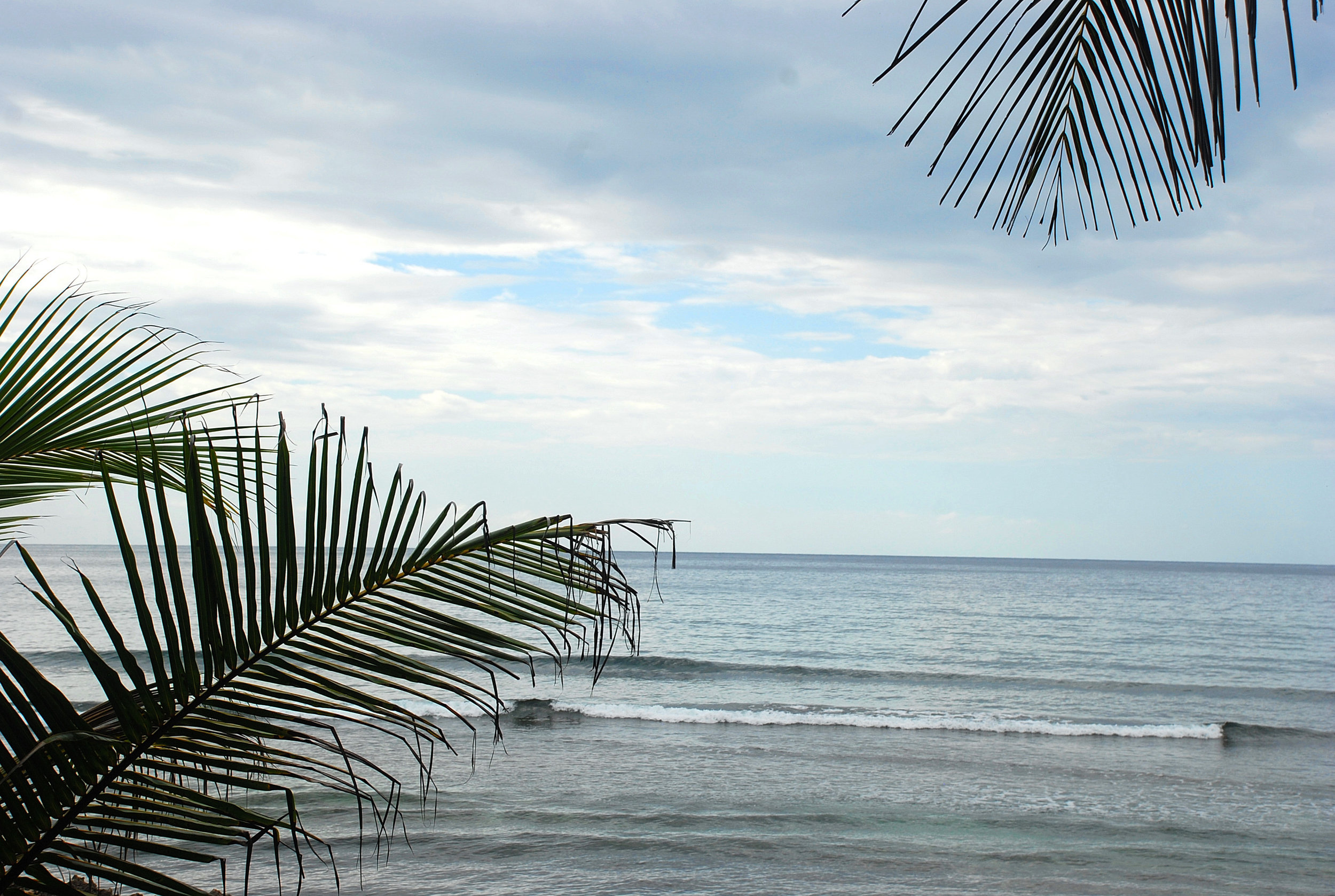 Ancient Wisdom in Puerto Rico