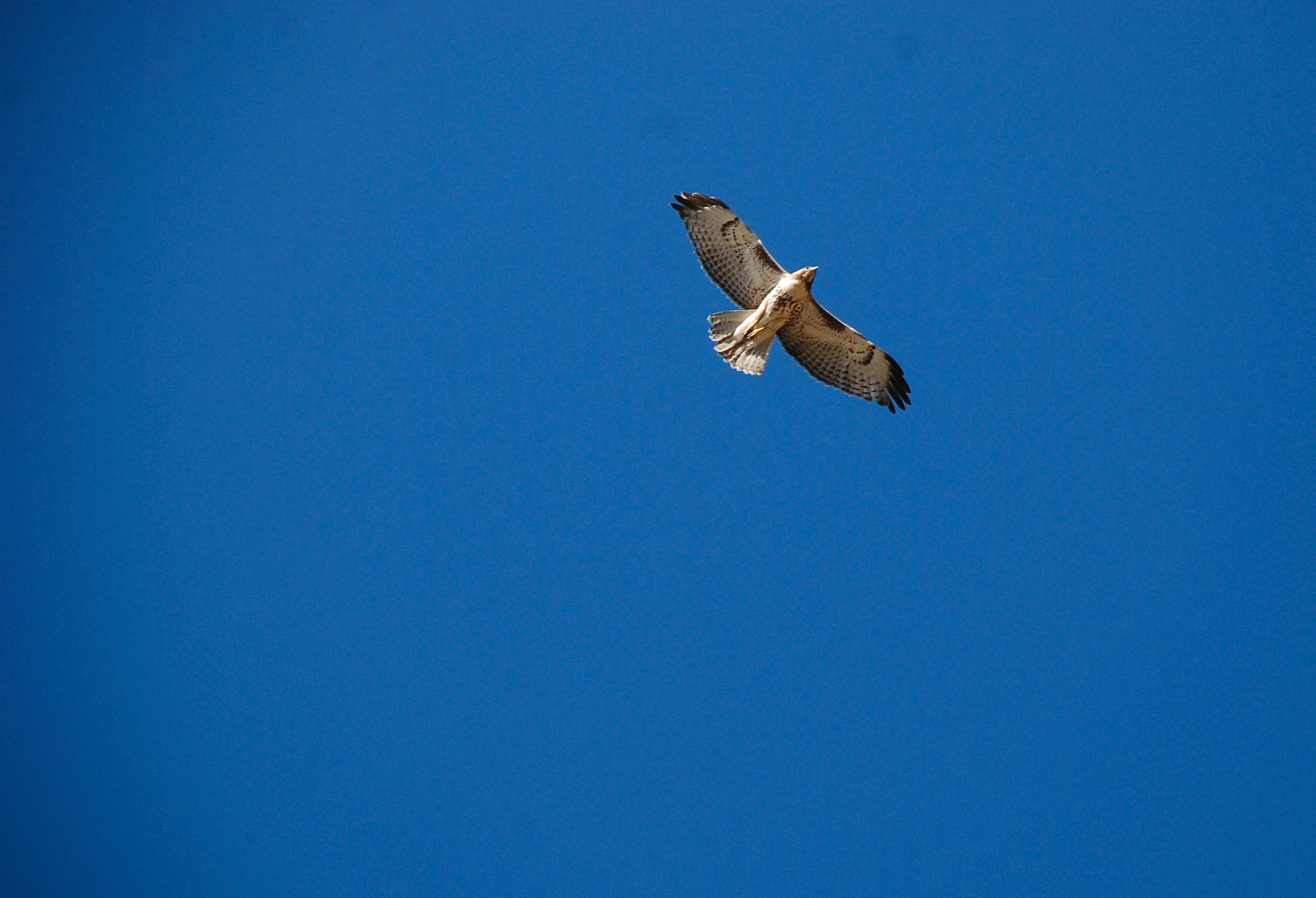 Drum Journey Meditation with Justin Spyres 