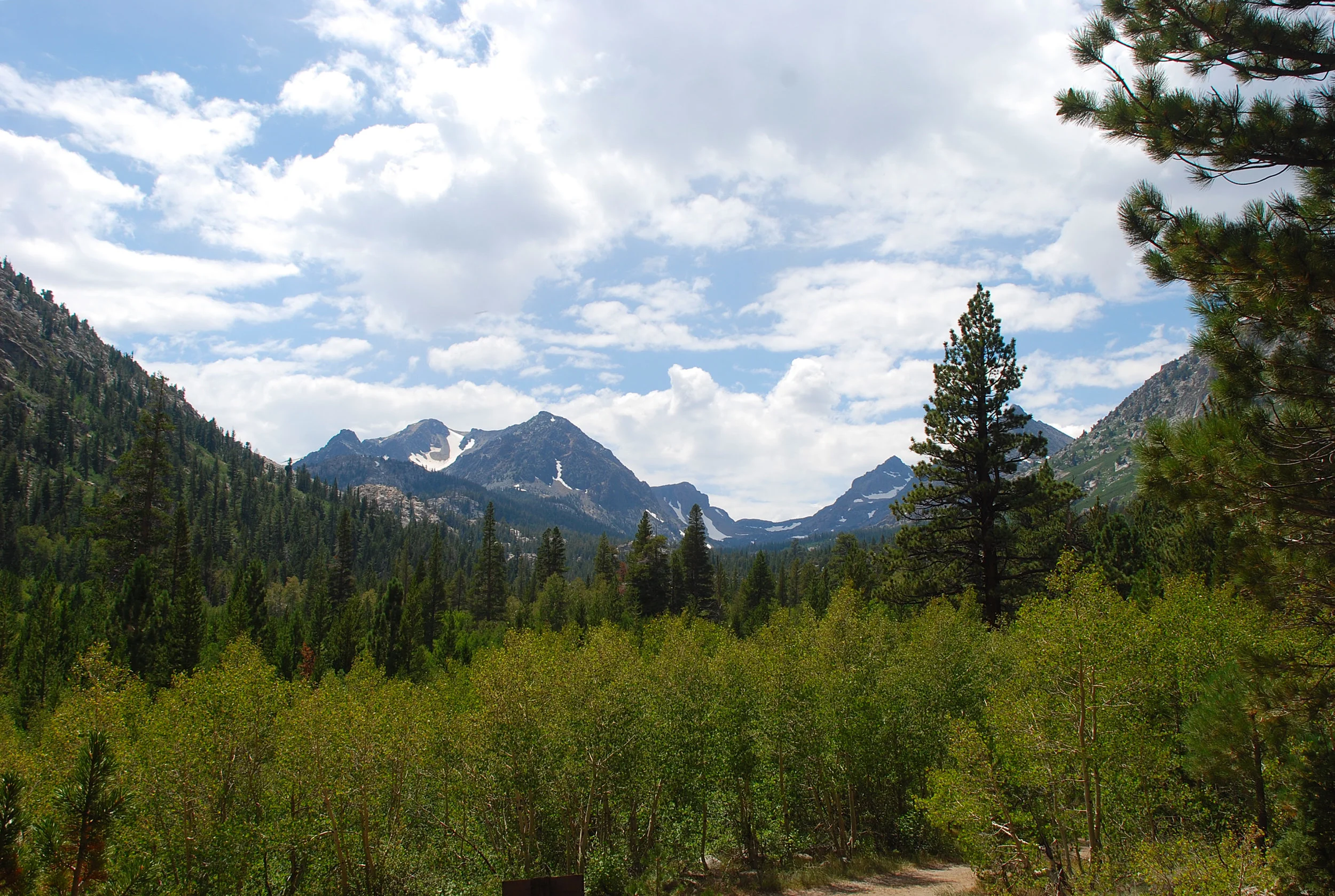 Visions Of A World At Peace