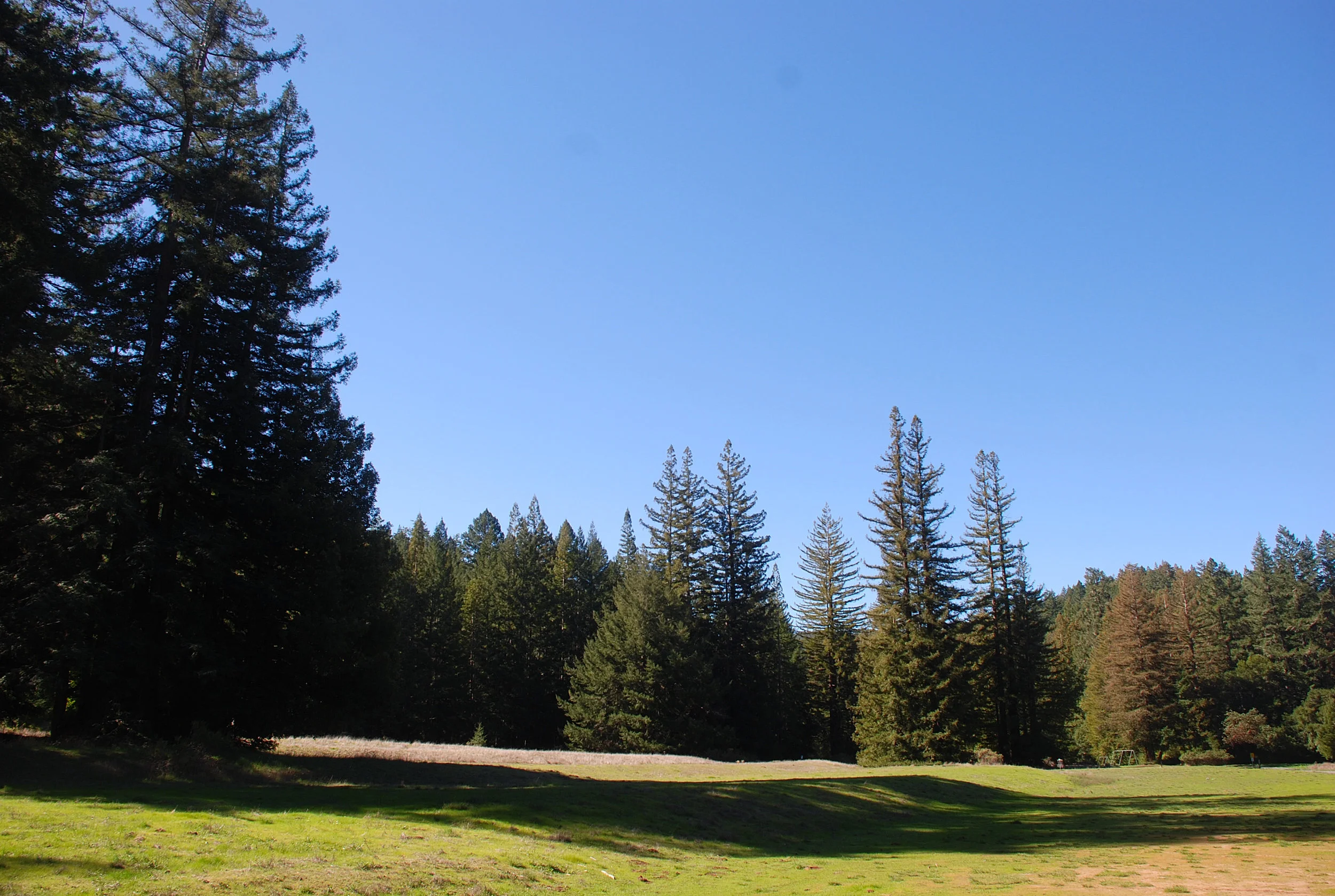 Awaken To Gratitude Retreat