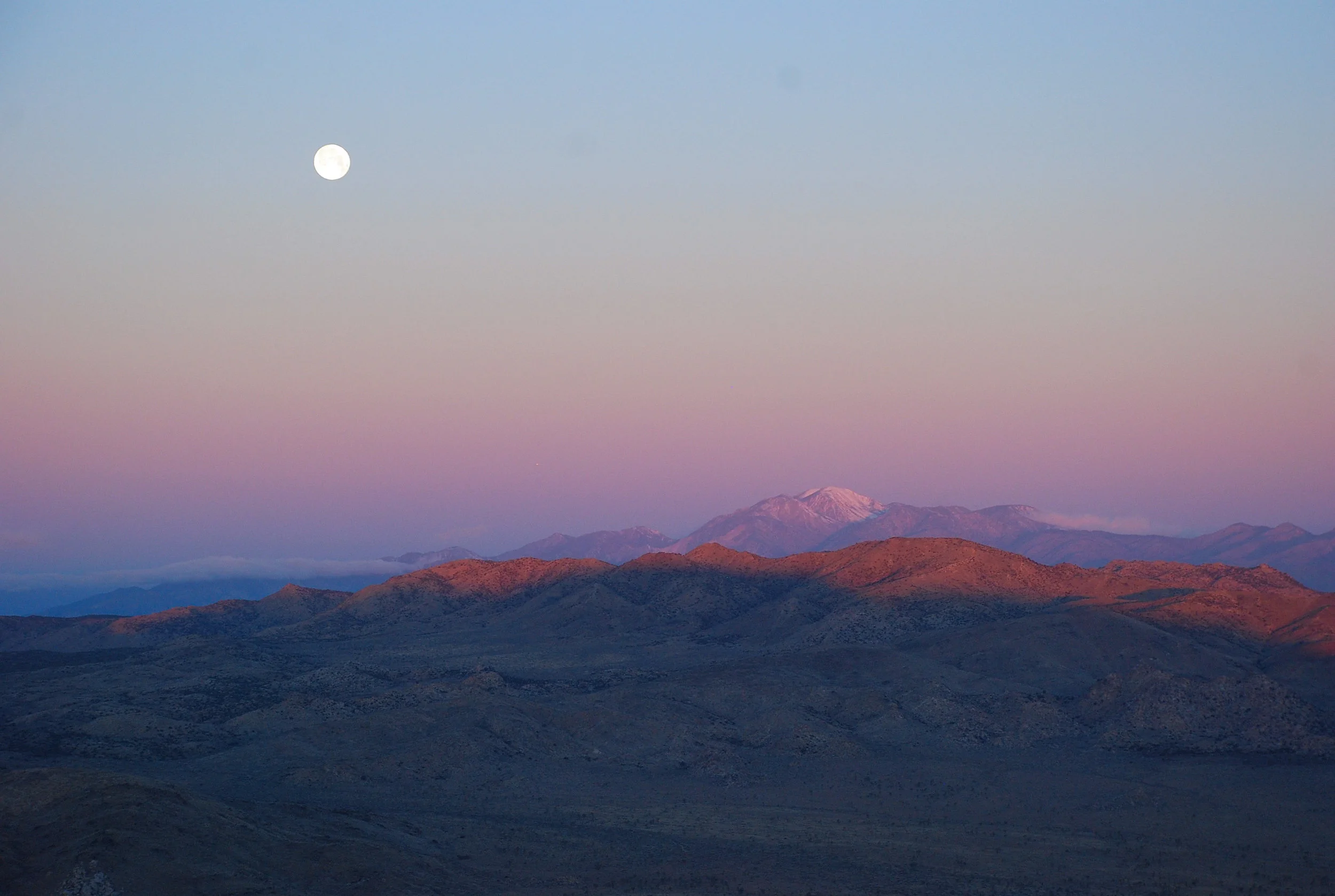 Nature Offers Support In Our Time of Need