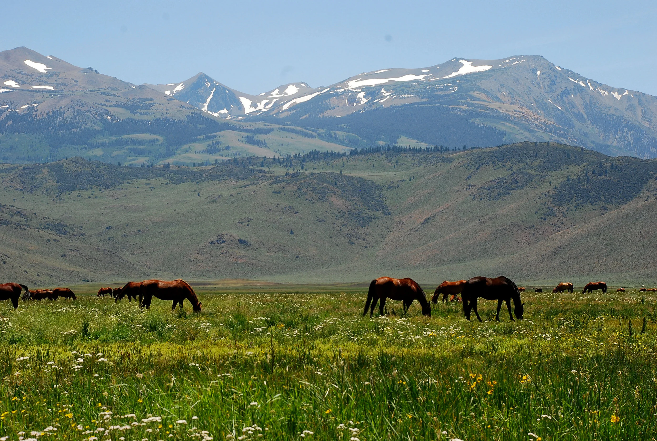 As Spiritual Living Becomes Our Daily Reality