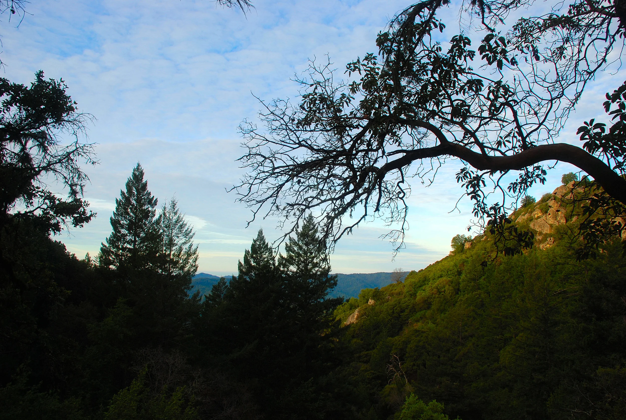 Sunrise Hike And Drum Meditation Atop The Santa Cruz Mtns