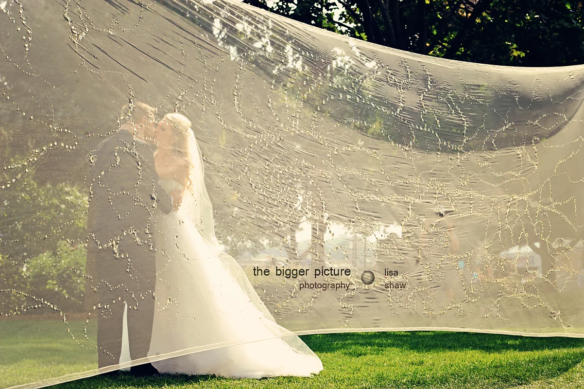 artprize wedding photo