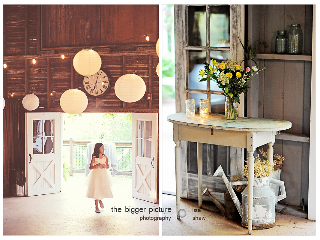 ann arbor wedding photographer mi.jpg