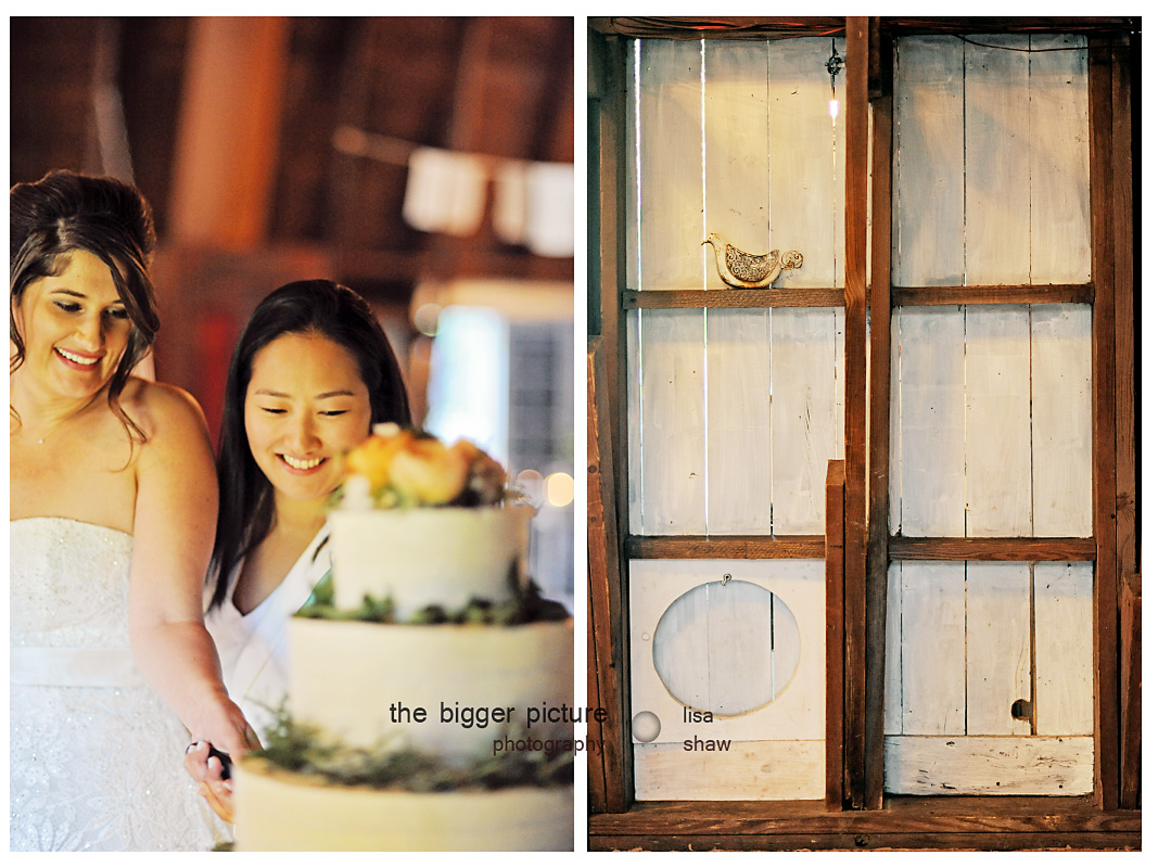 lansing mi wedding photographer.jpg
