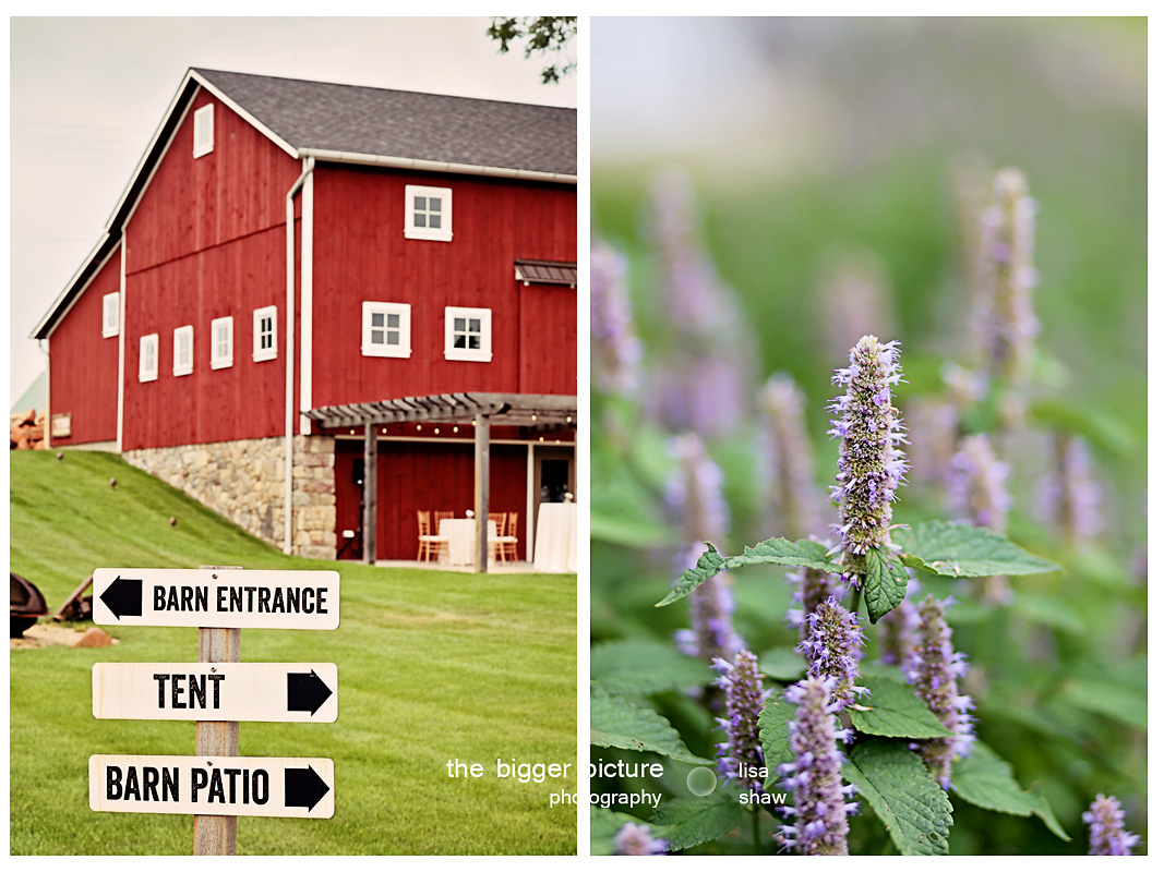 barn weddings michigan.jpg