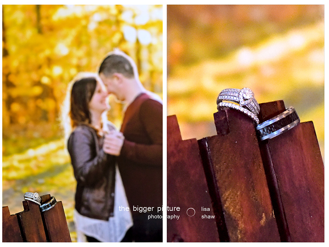 affordable best wedding photographers michigan.jpg