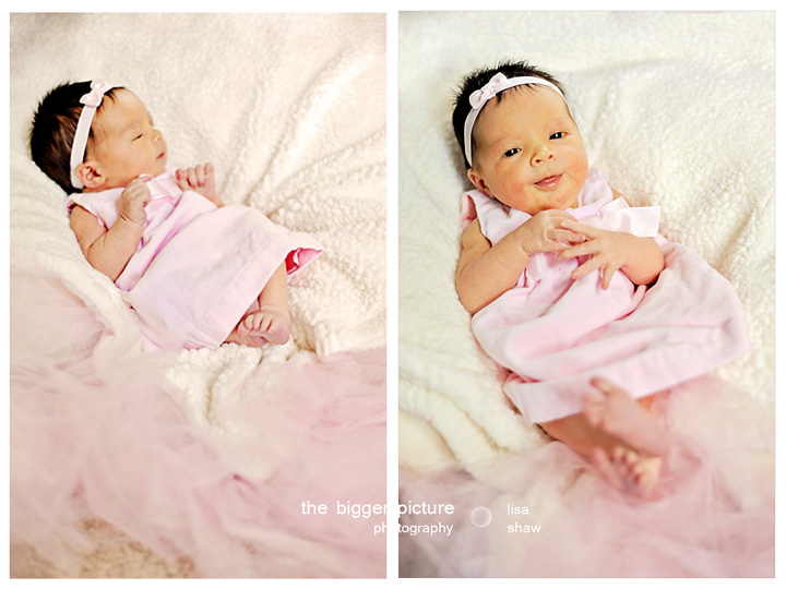 detroit newborn photographers.jpg