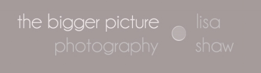 The Bigger Picture Photography - Wedding/Family/Boudoir/Senior - Michigan Photography