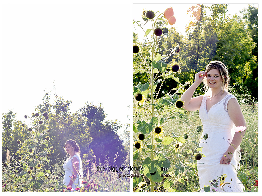 barn weddings michigan.jpg
