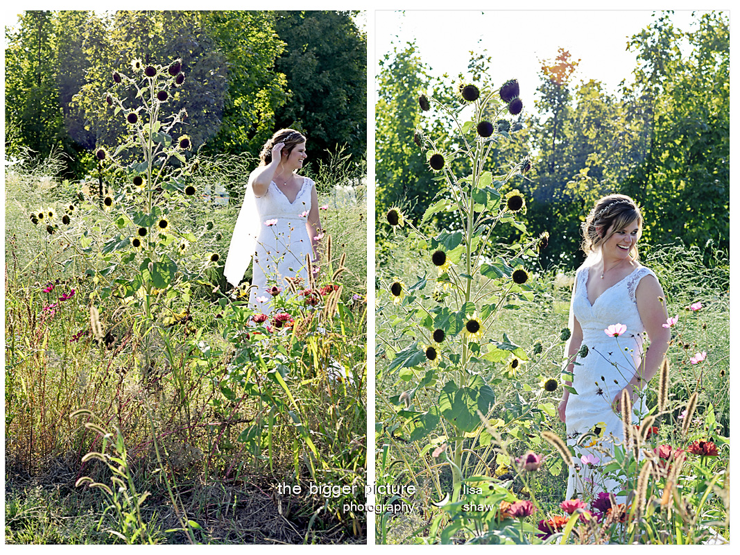 michigan engagement and wedding photographer.jpg