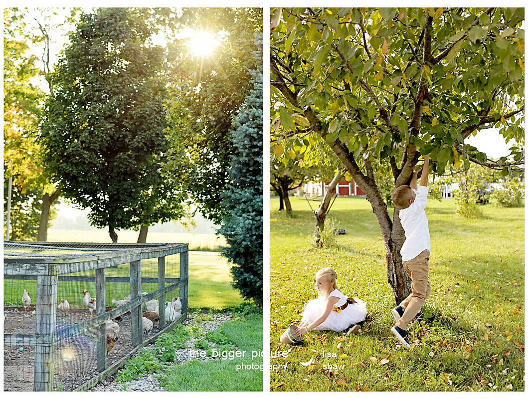 the blodgett barn wedding venue.jpg