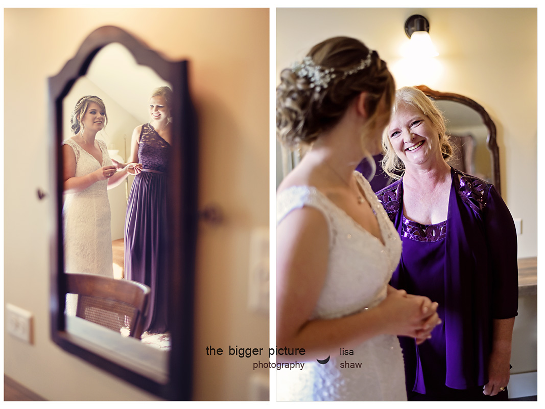 wedding photographers michigan.jpg