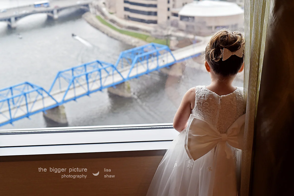 grand rapids mi blue bridge photos the bigger picture photography