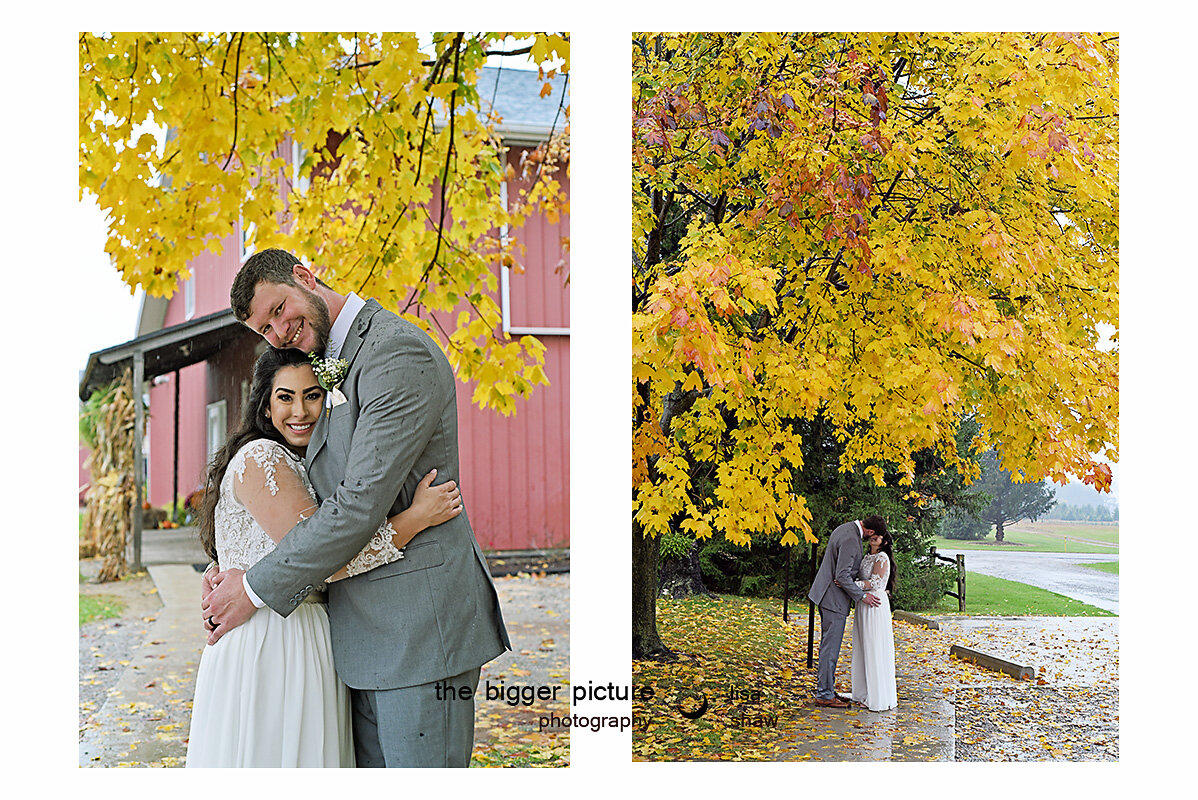 best wedding photographers in michigan.jpg