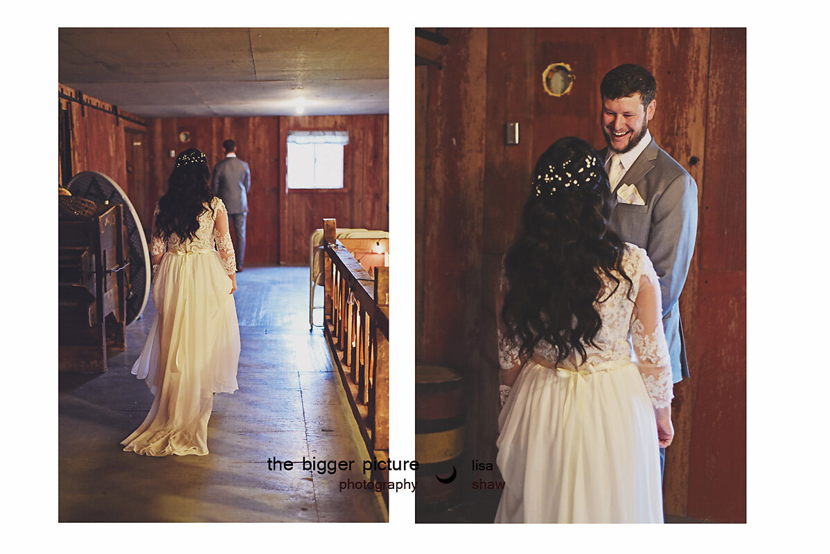 grand rapids mi wedding engagement photographer.jpg