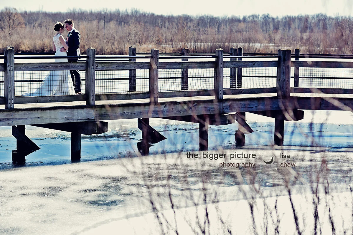 millenium park grand rapids wedding photo session